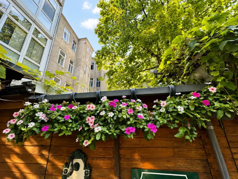 Blumenkisten auf dem Dach der Gartenhütte, dahinter Bäume und die Hoffassade
